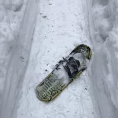 LostShoe-1c